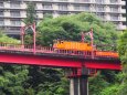 黒部峡谷鉄道トロッコ電車