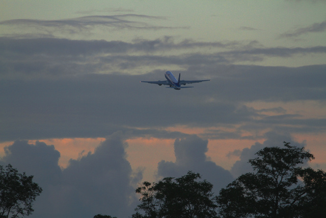 成田空港