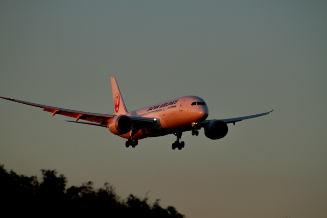 成田空港