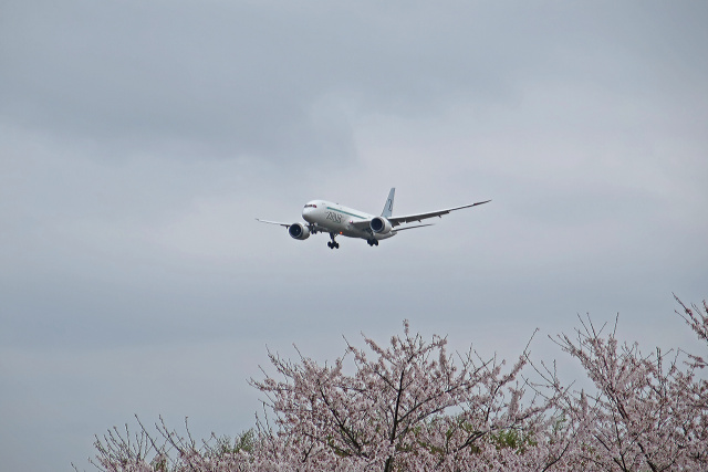 成田空港