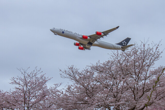 成田空港