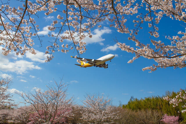 成田空港