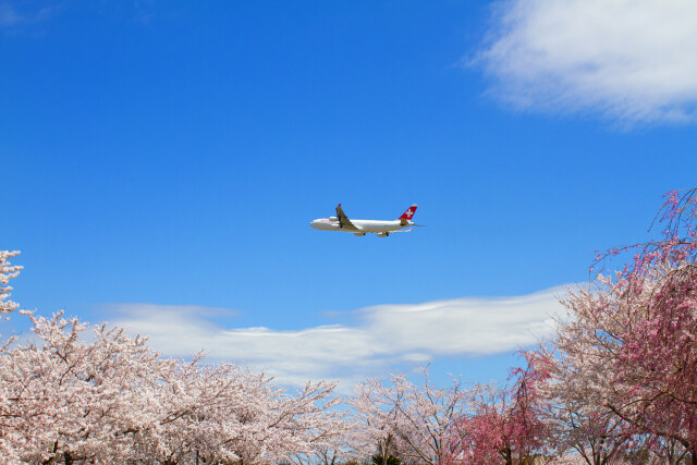 成田空港