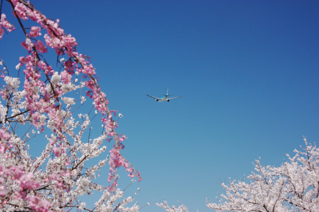 成田空港