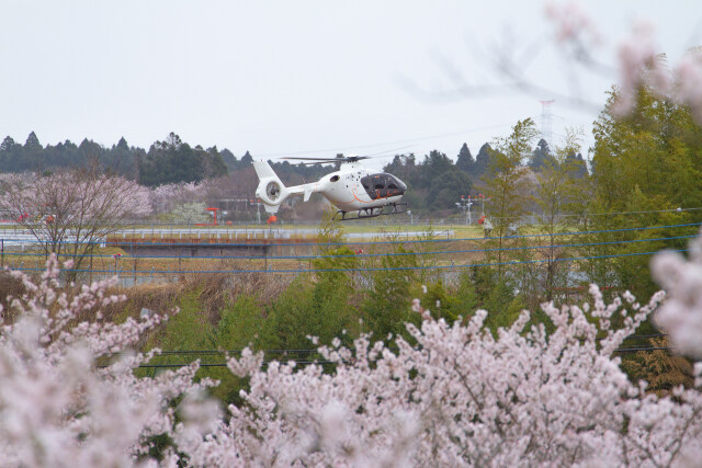 成田空港