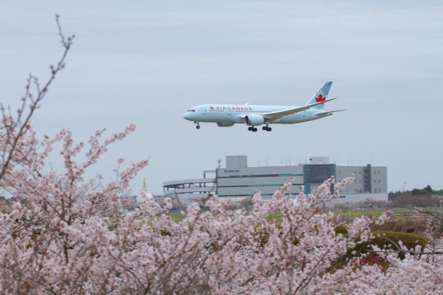 成田空港