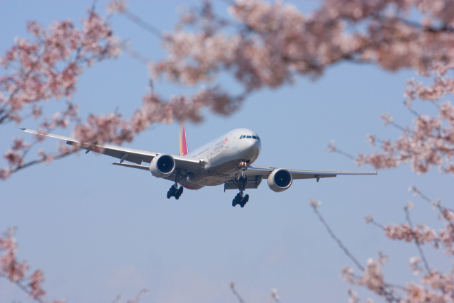 成田空港