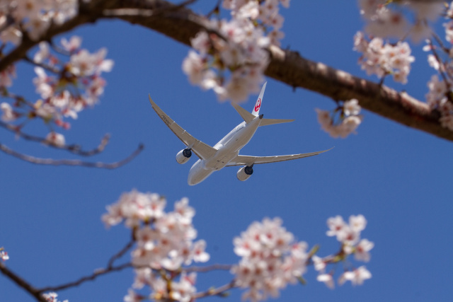 成田空港