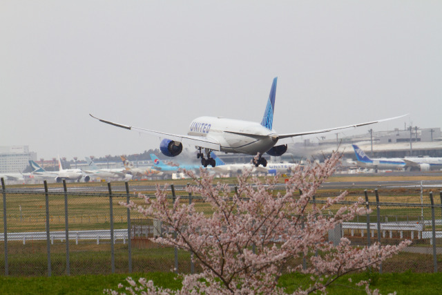 成田空港