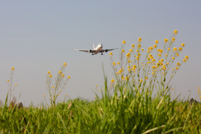 成田空港