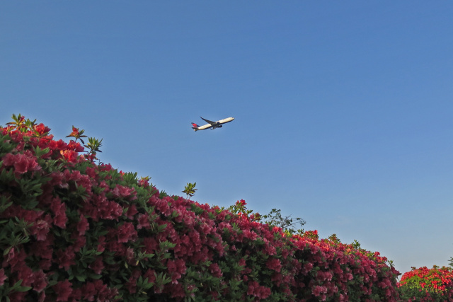 成田空港