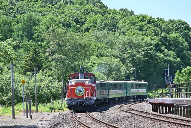 釧路湿原ノロッコ号