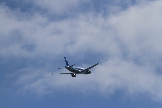 成田空港