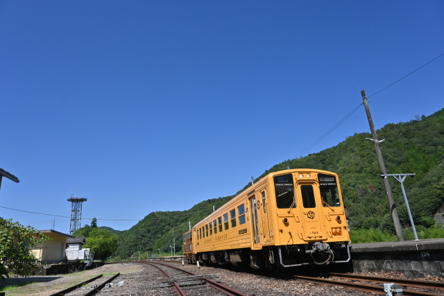 真夏のしまんトロッコ