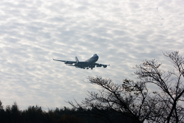 成田空港