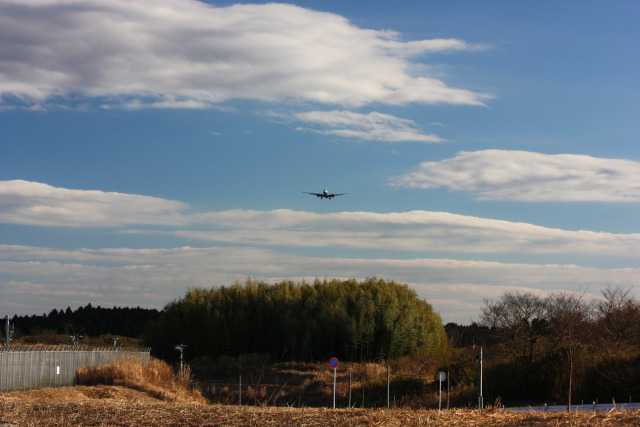 成田空港