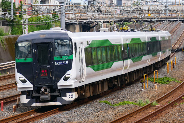 E257系 5500番台 特急あかぎ