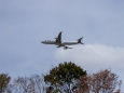 成田空港