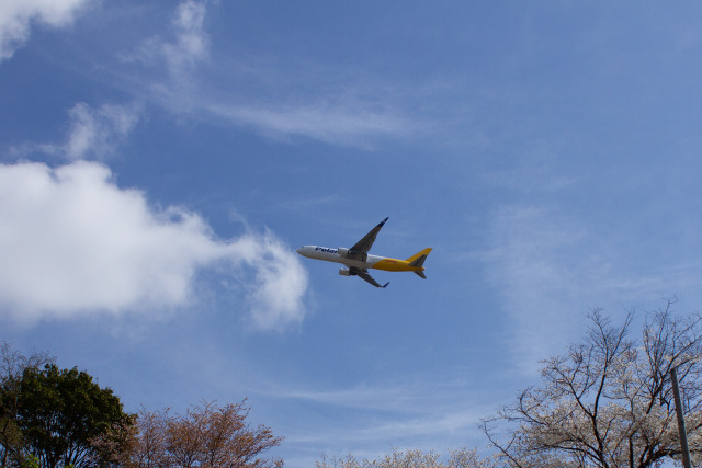 成田空港