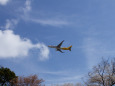 成田空港